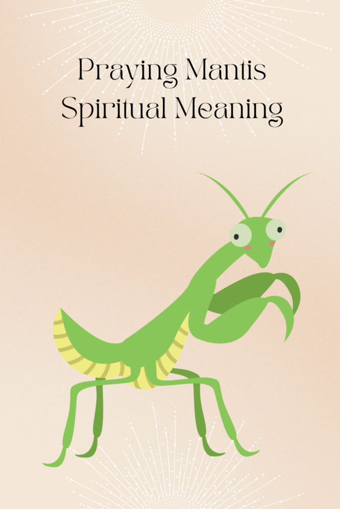 Praying Mantis Spiritual Meaning pin