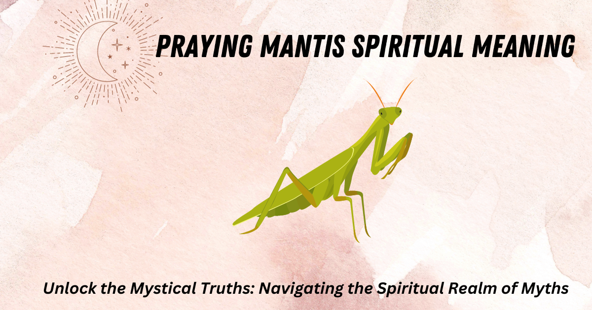 Praying Mantis Spiritual Meaning