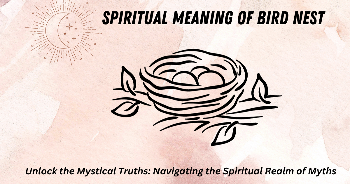Spiritual Meaning of Bird Nest