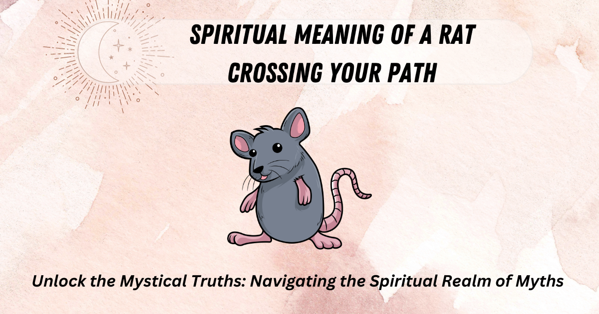 Spiritual Meaning of a Rat Crossing Your Path