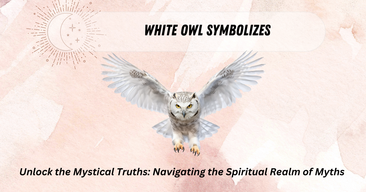 White Owl Symbolizes