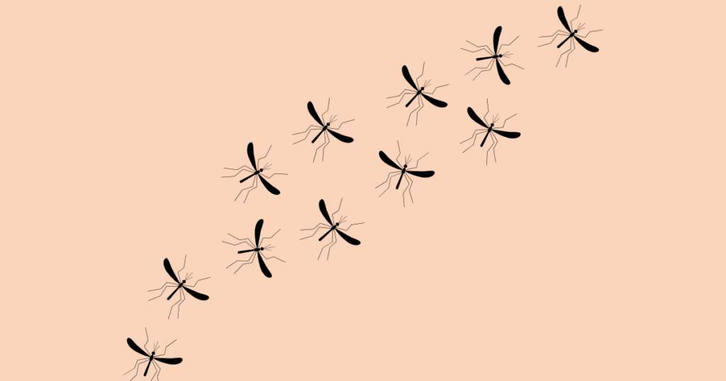 Why do gnats flock together
